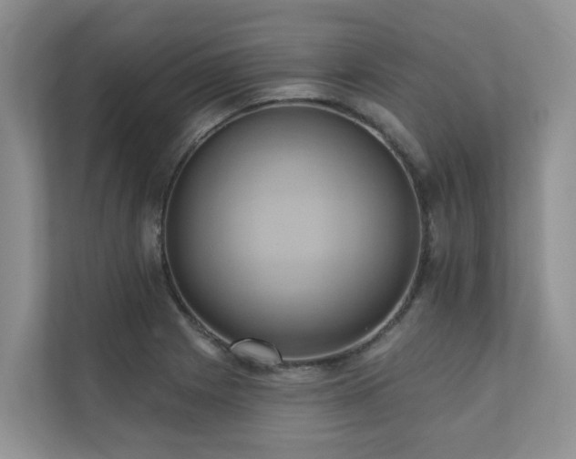 X0000110681225200906121159