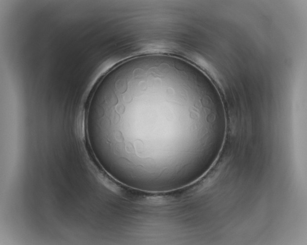 X0000110681227200906121159