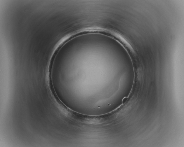 X0000110681229200906121159
