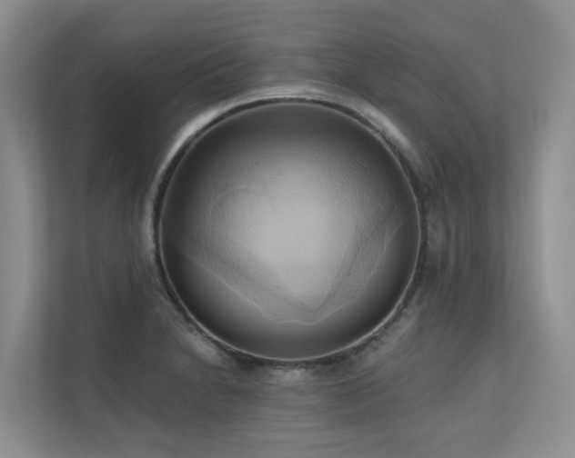 X0000110681230200906121159