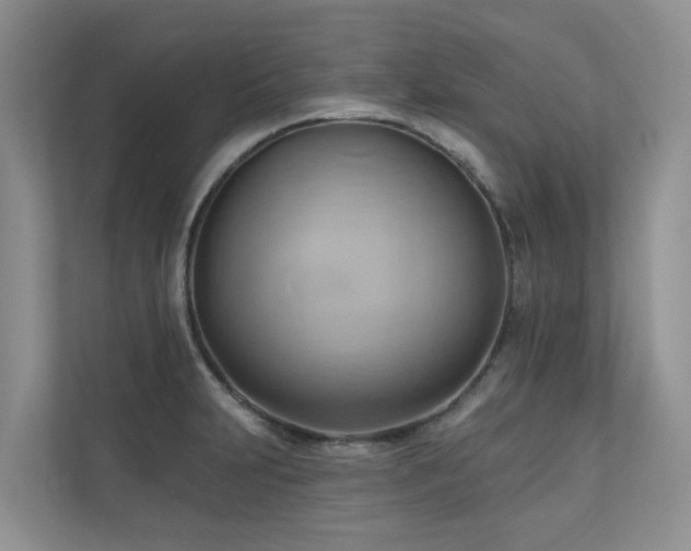 X0000110681231200906121159