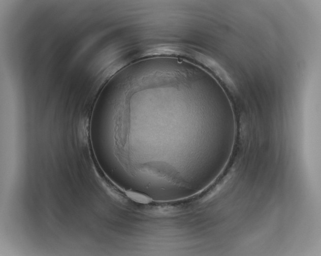 X0000110681233200906121159