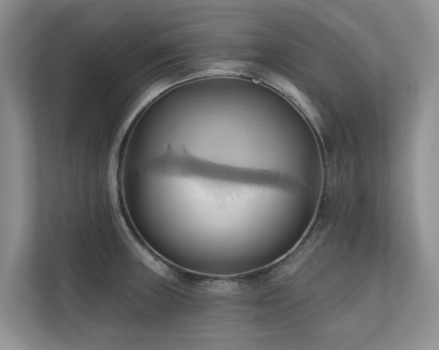 X0000110681235200906121159
