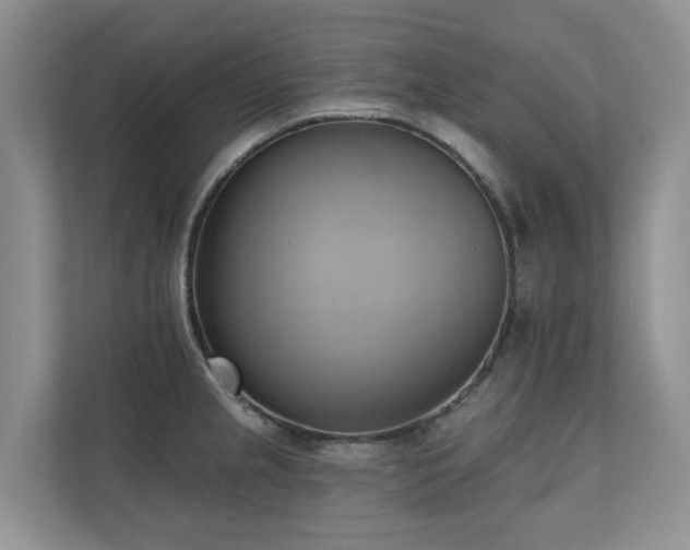 X0000110681237200906121159