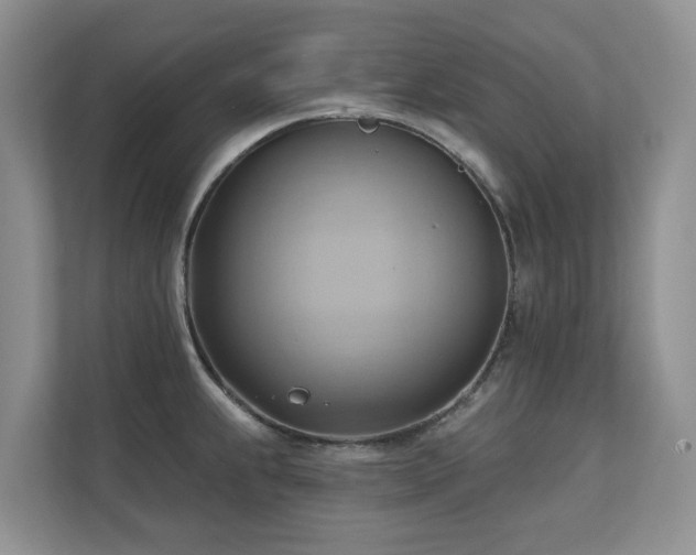 X0000110681239200906121159