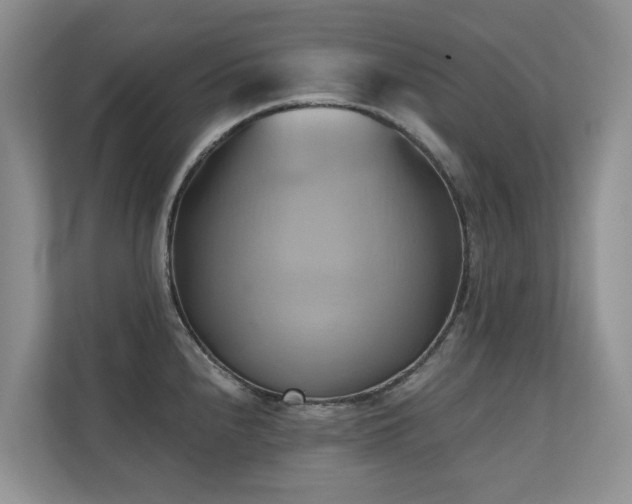 X0000110681240200906121159