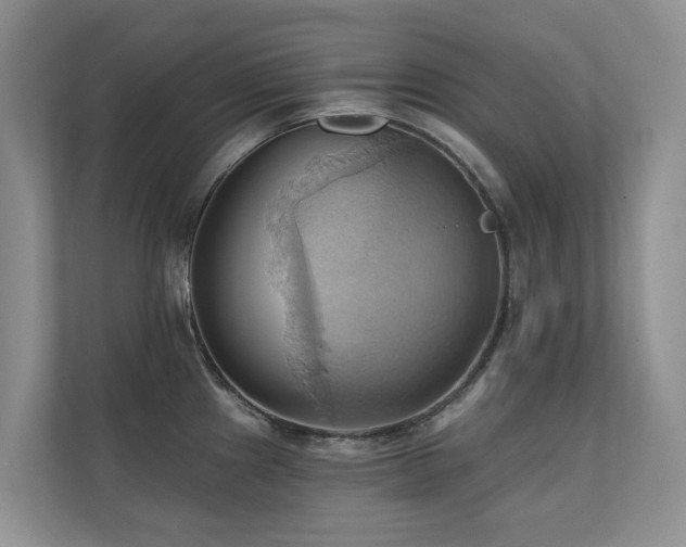 X0000110681241200906121159