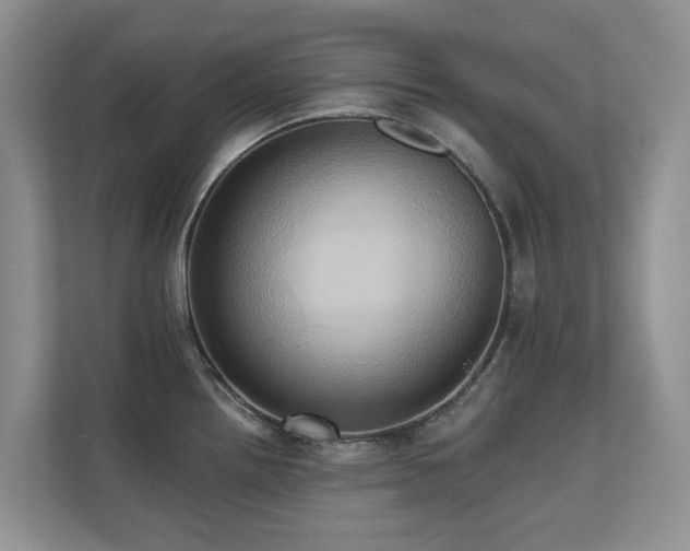 X0000110681242200906121159