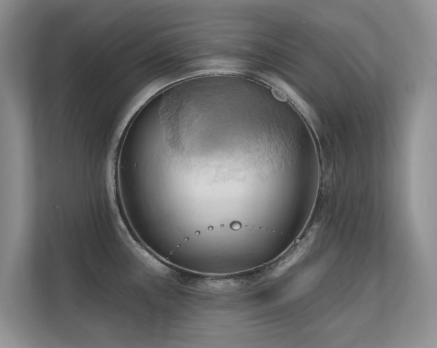 X0000110681243200906121159