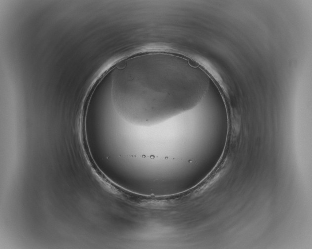 X0000110681245200906121159
