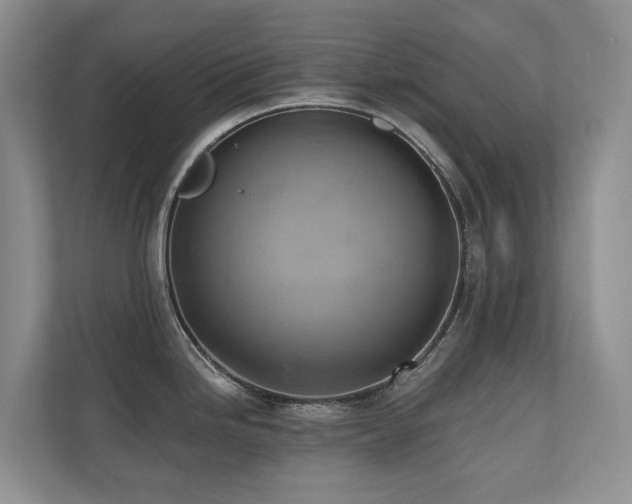 X0000110681246200906121159