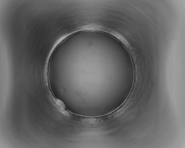 X0000110681248200906121159