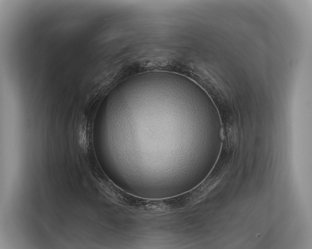 X0000110681250200906121159