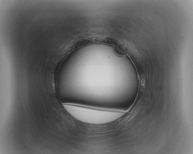 X0000110681252200906121159