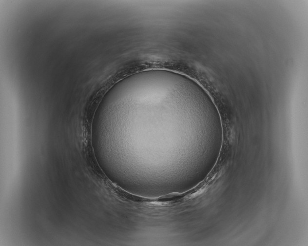 X0000110681253200906121159