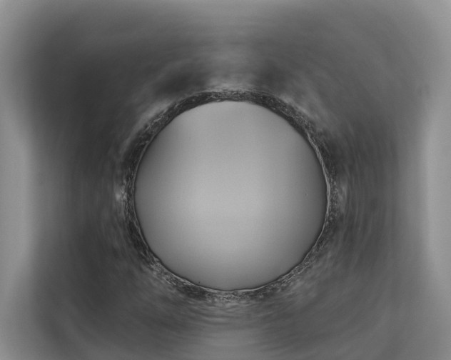 X0000110681254200906121159