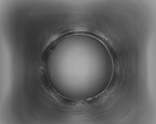 X0000110681255200906121159