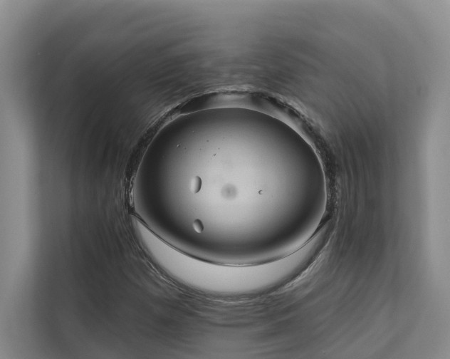 X0000110681257200906121159