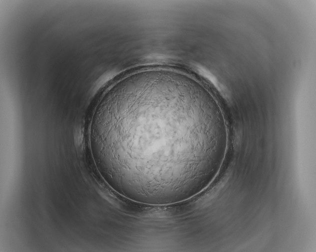 X0000110681259200906121159