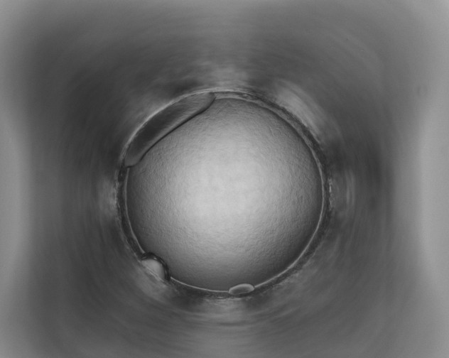 X0000110681260200906121159