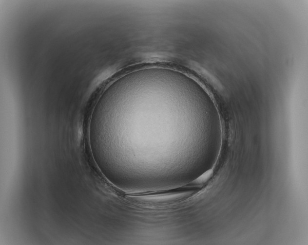 X0000110681261200906121159