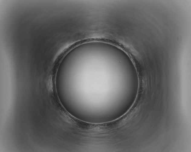 X0000110681262200906121159