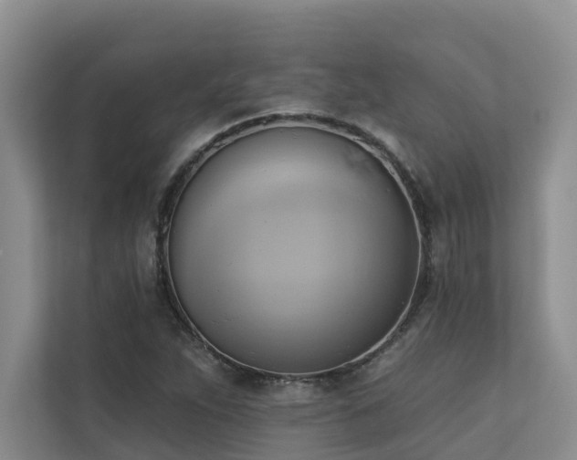 X0000110681263200906121159