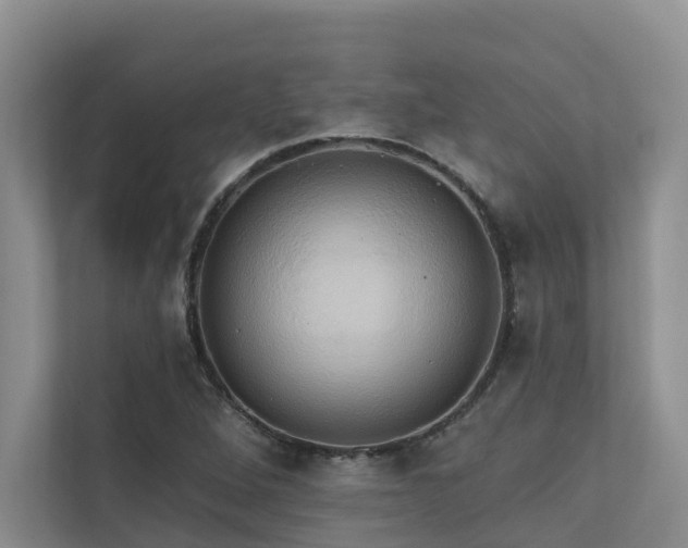 X0000110681264200906121159