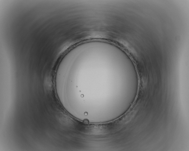 X0000110681266200906121159