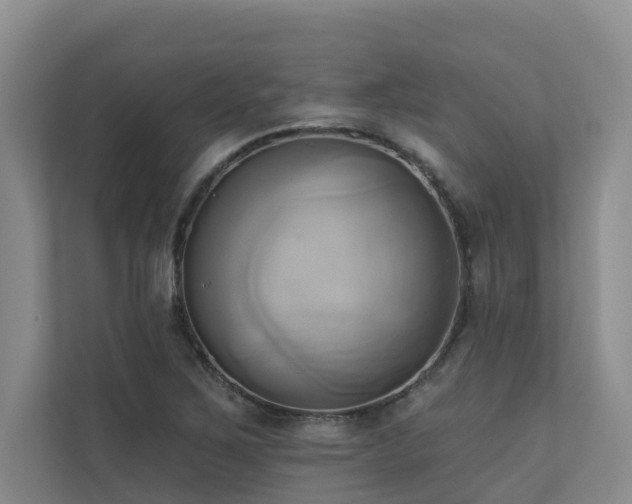 X0000110681267200906121159
