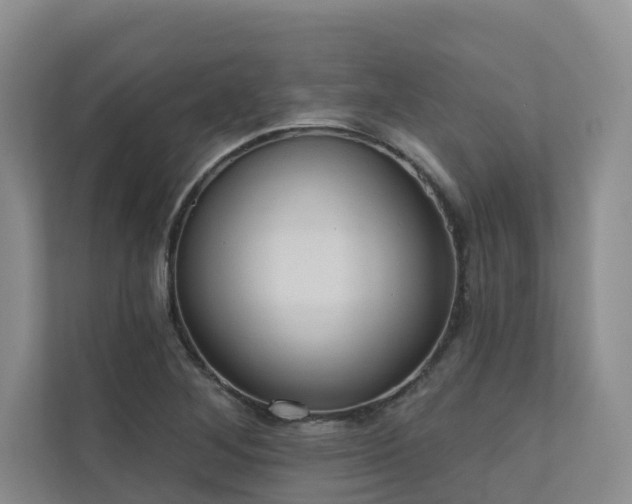 X0000110681268200906121159