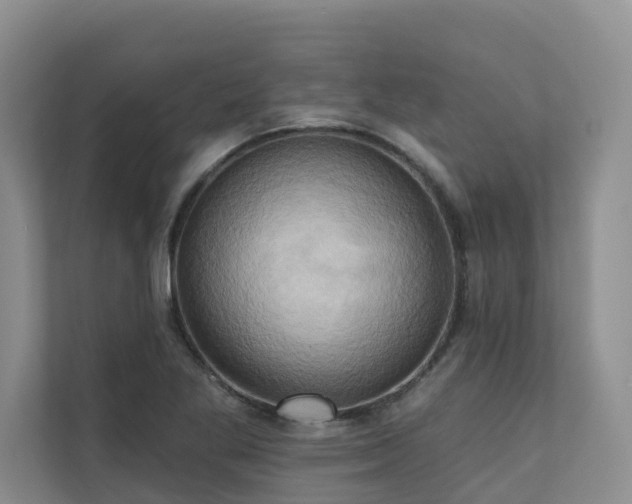 X0000110681269200906121159