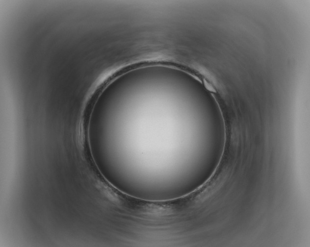 X0000110681270200906121159
