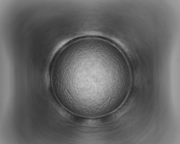 X0000110681271200906121159