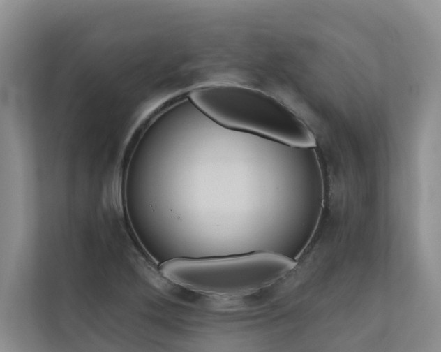 X0000110681272200906121158