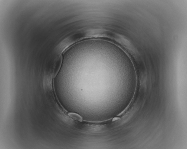 X0000110681273200906121158