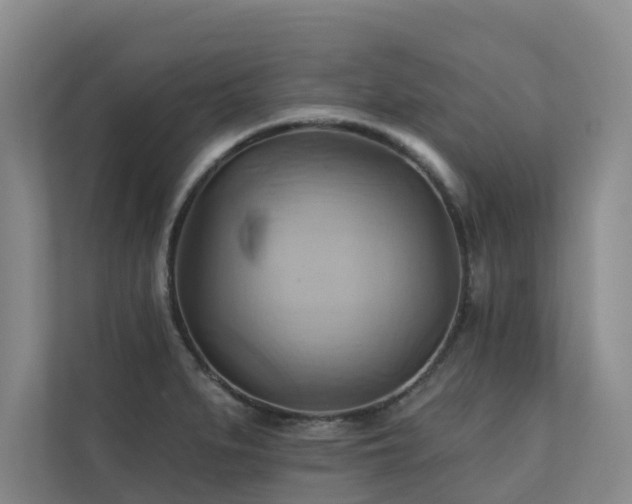X0000110681279200906121158
