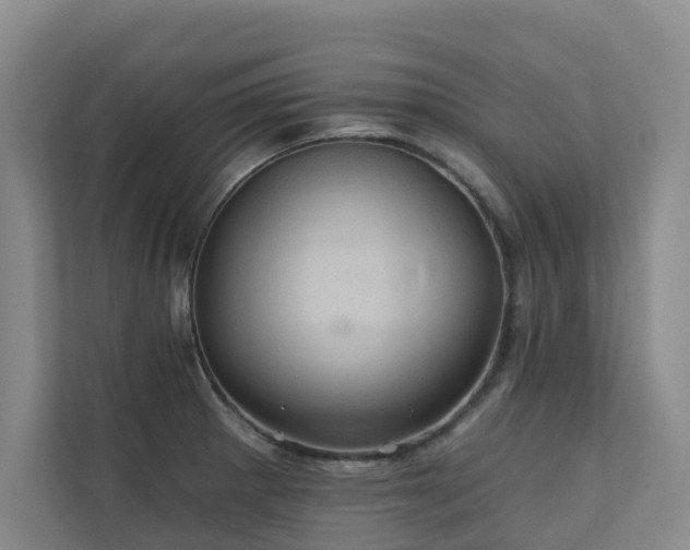 X0000110681281200906121158
