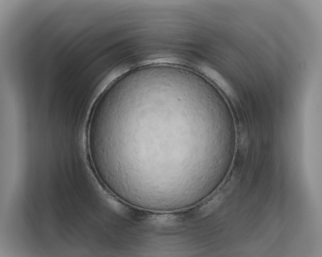X0000110681282200906121158