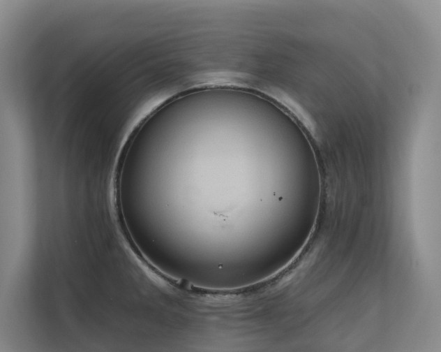 X0000110681285200906121158