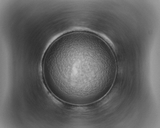X0000110681287200906121158