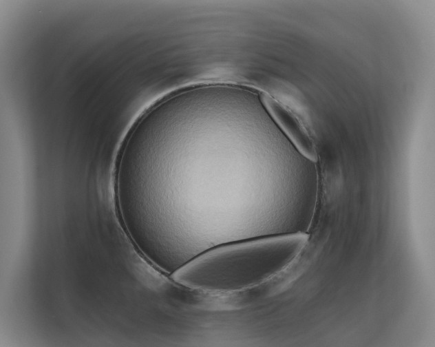 X0000110681288200906121158