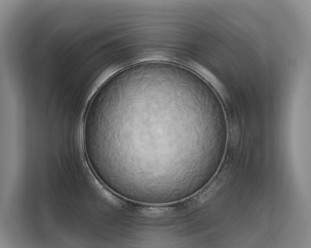 X0000110681290200906121158