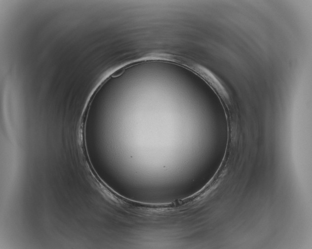 X0000110681292200906121158