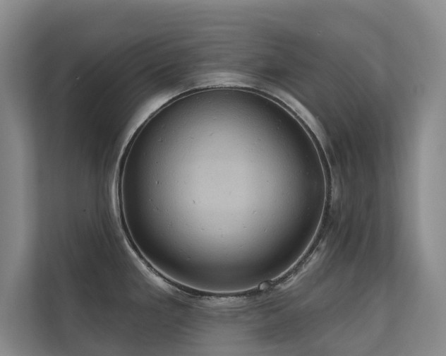 X0000110681293200906121158