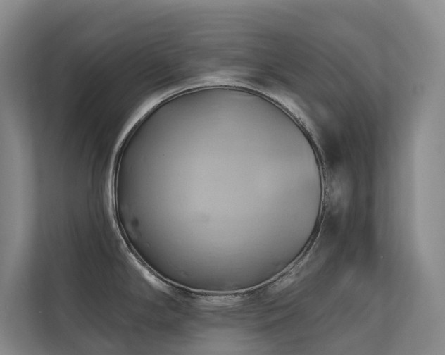 X0000110681294200906121158