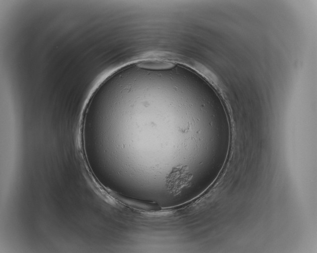 X0000110681296200906121158