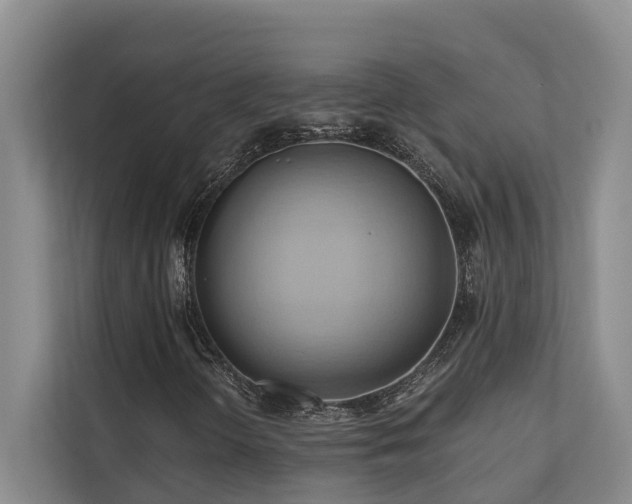 X0000110681298200906121158