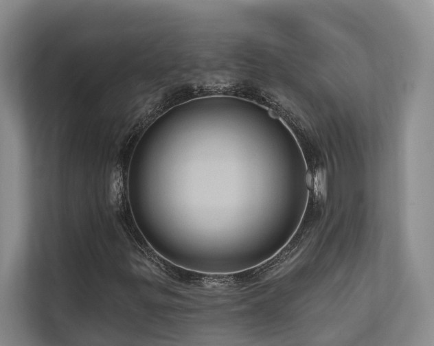 X0000110681299200906121158