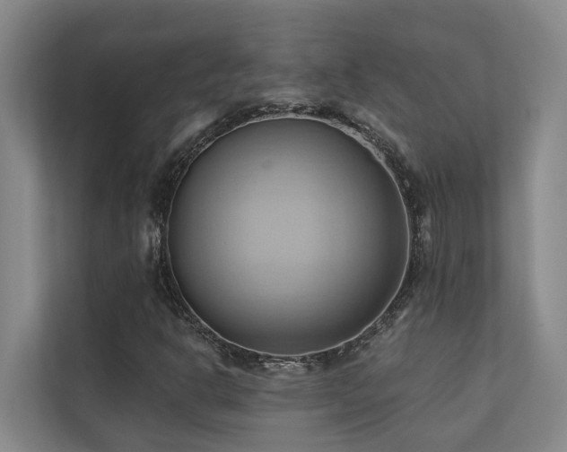 X0000110681302200906121158